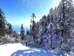 -瓦屋山景区