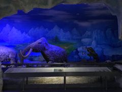 景点-中国第四纪冰川遗迹陈列馆