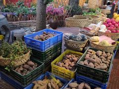 -园林美食城·本土农家菜(杨和镇店)