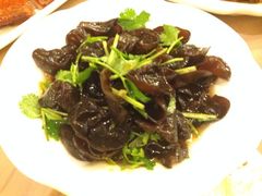 iphone_upload_pic-新南华大酒店(广中店)