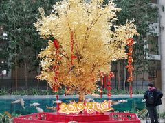 -中国银行(大连市分行)
