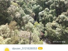 -九龙江国家森林公园