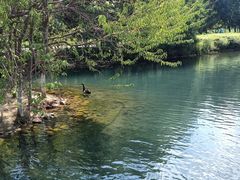 -长白岛森林公园