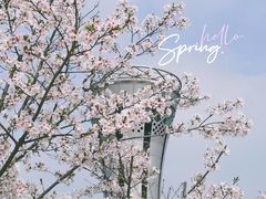 -上海山野camping·户外天幕烧烤·团建拓展营地