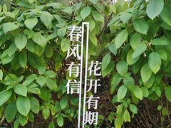 -云溪植物园