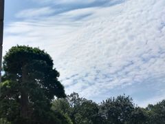 -南京东郊国宾馆