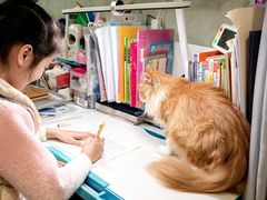 -螺世纪螺蛳粉·桂味小排档(裕德店)