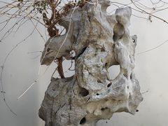 -寒山寺