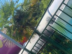 -上海玛雅海滩水公园