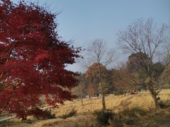 -塔川景区
