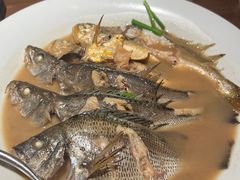 家烧胶东杂鱼-KŌNG胶东小馆·酒馆(华熙店)