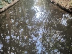 -上海滨江森林公园