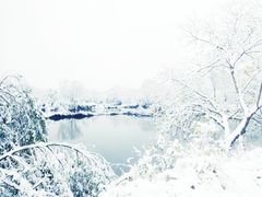 -木守西溪溪隐餐厅