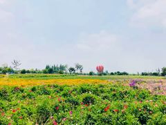 -歌斐颂巧克力小镇