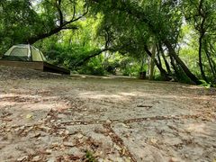 -沈阳辉山风景区