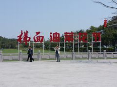 -红山村
