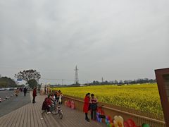 -桤木河湿地公园