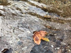 景点-玉渡山自然风景区