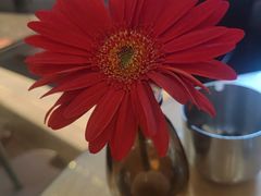 -Simple Yummy简单美味(上邦百汇城店)