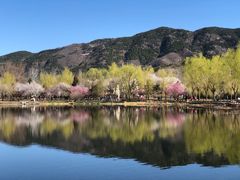 -国家植物园南园