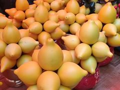 -越秀西湖花市(广州城市广场花卉店)