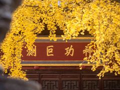 -上海青龙寺