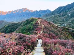 -水峪民俗村