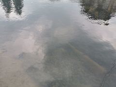 -山沟沟景区