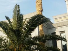 -西郊宾馆-地面停车场