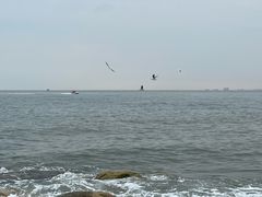 -老虎石海上公园