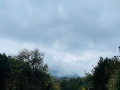 -北京鹫峰国家森林公园