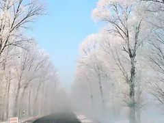 -长春世界雕塑园冰雪艺术天地