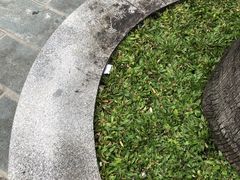 -耶稣圣心堂