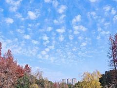 -尚贤河湿地