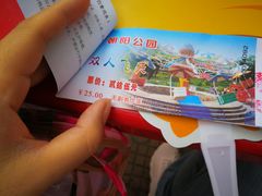 -朝阳公园游乐园