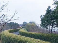 -天目湖涵田半山温泉