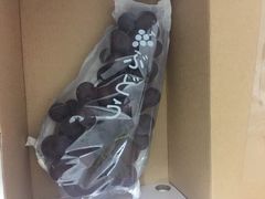 海堤葡萄园-海堤葡萄园中小学生研学基地