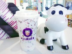 -一只酸奶牛(八一路店)