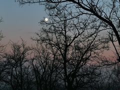 -阳台山自然风景区