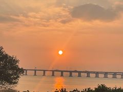 -宝安西湾红树林湿地公园