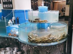-四海蒸鲜蒸汽海鲜自助(北戴河店)