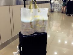 -珍妮曲奇聪明小熊(上环店)