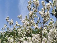 -野鸭湖国家湿地公园