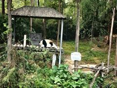 -广州长隆野生动物世界