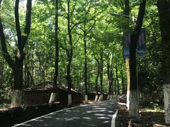 -景德镇古窑民俗博览区