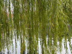-西湖天地