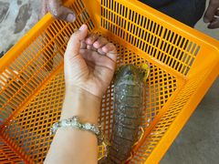 -班赞海鲜市场