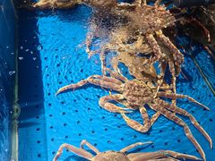 -炊江南·上海菜(国展华漕店)