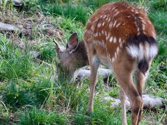 -萍乡武功山风景名胜区