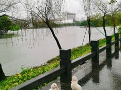 -东山湖公园
